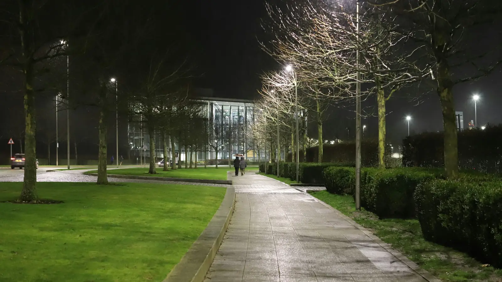 Verlicht voetpad door een stil park bij nacht, met lantaarnpalen, kale bomen en een glazen gebouw in de verte